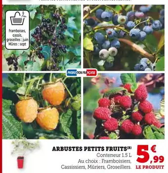 Super U Arbustes Petits Fruits offre