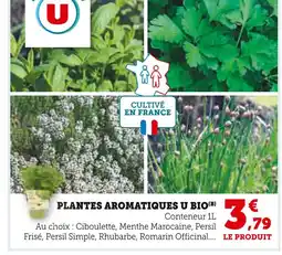 Super U U Plantes aromatiques bio offre