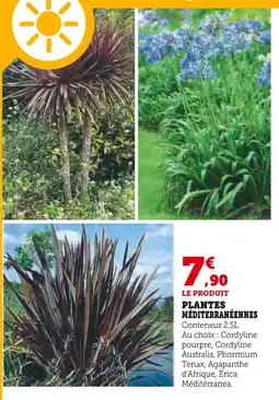 Super U Plantes Méditerranéennes offre