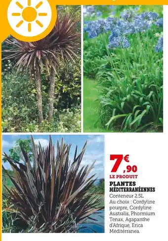 Super U Plantes Méditerranéennes offre