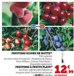 Super U Fruitiers scions en motte offre