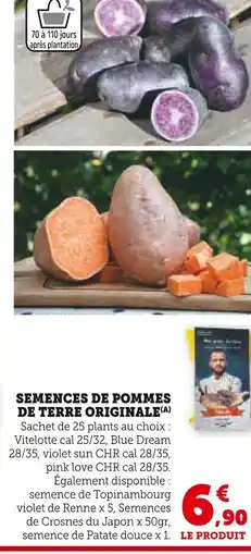 Super U Semences de pommes de terre originale offre