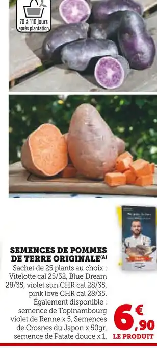 Super U Semences de pommes de terre originale offre