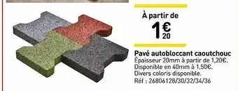 Pavé Autobloccant Caoutchouc