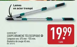 ALDI GARDENLINE® Coupe branche télescopique offre