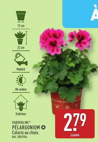 ALDI GARDENLINE® Pélargonium offre