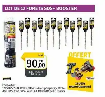 DomPro Lot De 12 Forets Sds + Booster offre