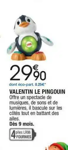 Valentin Le Pingouin