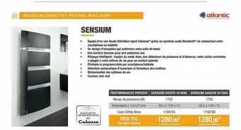 Radiateur Connecté à Pilotage Intelligent Sensium Atlantic