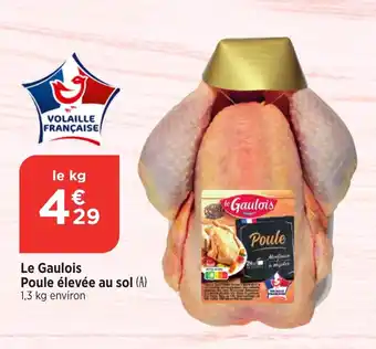 Bi1 LE GAULOIS Poule élevée au sol offre