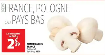 Auchan Champignons blancs offre