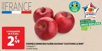 Auchan Pommes swing bio filière auchan cultivons le bon offre