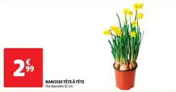 Auchan Narcisse tête à tête offre