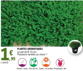 E.Leclerc Plantes aromatiques offre