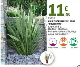 E.Leclerc Lin de nouvelle zélande "phormium" offre