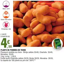 E.Leclerc Plants de pommes de terre offre