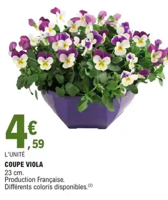 E.Leclerc Coupe viola offre