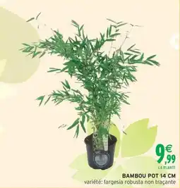 Intermarché Bambou offre