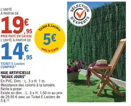 E.Leclerc "BEAUX JOURS" Haie artificielle offre