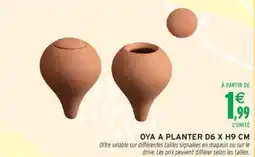 Intermarché Oya a planter offre