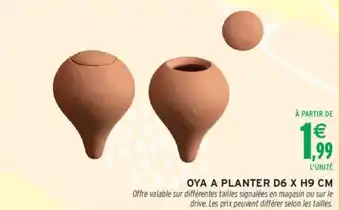 Intermarché Oya a planter offre