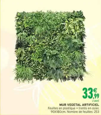 Intermarché Mur vegetal artificiel offre