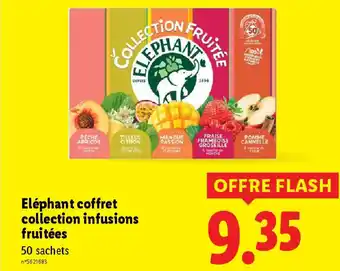 Lidl ELEPHANT coffret collection infusions fruitées offre