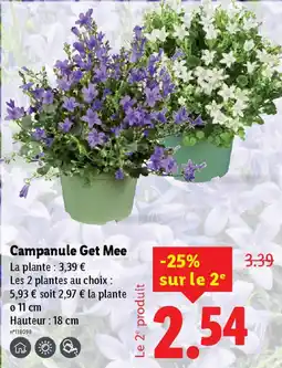 Lidl Campanule Get Mee offre