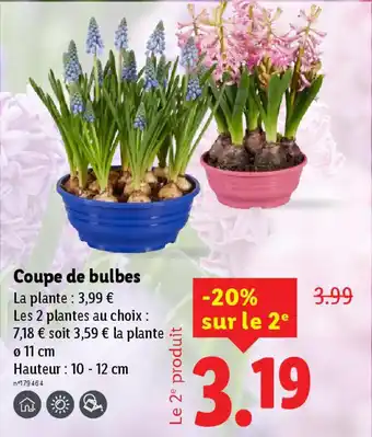 Lidl Coupe de bulbes offre