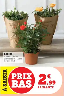 Super U Rosier offre