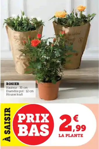 Super U Rosier offre