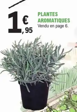 E.Leclerc Jardi Plantes aromatiques offre