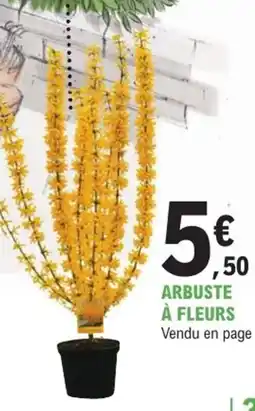 E.Leclerc Jardi Arbuste à fleurs offre