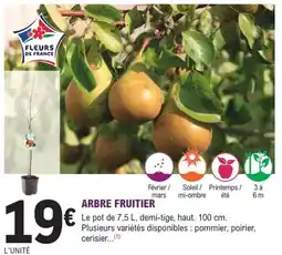 E.Leclerc Jardi Arbre fruitier offre