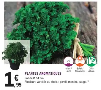 E.Leclerc Jardi Plantes aromatiques offre