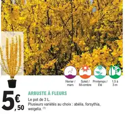 E.Leclerc Jardi Arbuste à fleurs offre