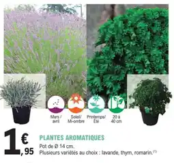 E.Leclerc Jardi Plantes aromatiques offre