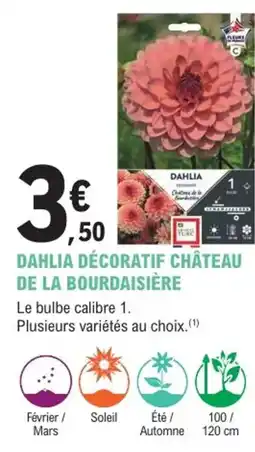 E.Leclerc Jardi Dahlia décoratif château de la bourdaisière offre