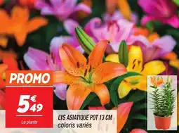 Netto Lys asiatique offre