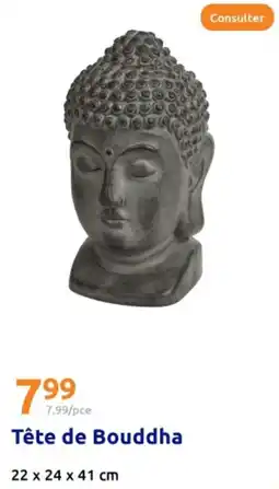 Action Tête de Bouddha offre