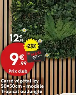 Maxi Bazar Carré végétal 50×50cm – modèle Tropical ou Jungle offre