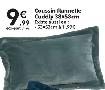 Maxi Bazar Coussin flanelle Cuddly 38×58cm offre