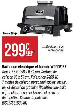 Bricorama Barbecue électrique et fumoir WOODFIRE Shark NINJA offre