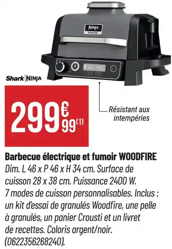 Bricorama Barbecue électrique et fumoir WOODFIRE Shark NINJA offre