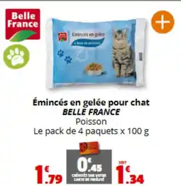 Coccinelle Express BELLE FRANCE Émincés en gelée pour chat offre