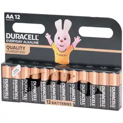 Action Piles Duracell AA offre