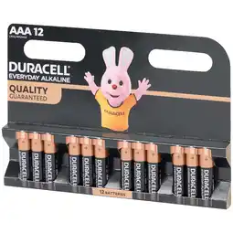 Action Piles Duracell Everyday Alkaline AAA offre