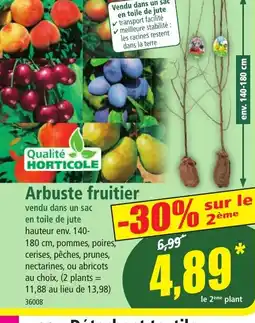 Norma Arbuste fruitier offre