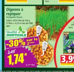 Norma Oignons à repiquer offre