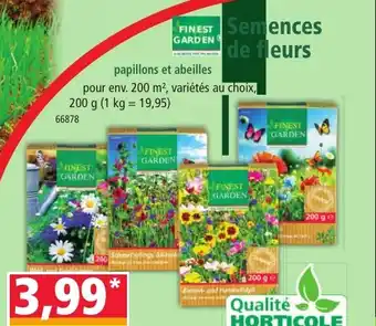 Norma FINEST Semences de fleurs offre